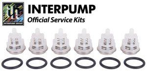 Interpump Service / Repair Kit 150 - valves