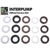 Interpump Service / Repair Kit 174 - water seals